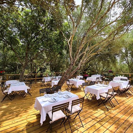 Agroturismo Santa Mariana アライオル エクステリア 写真