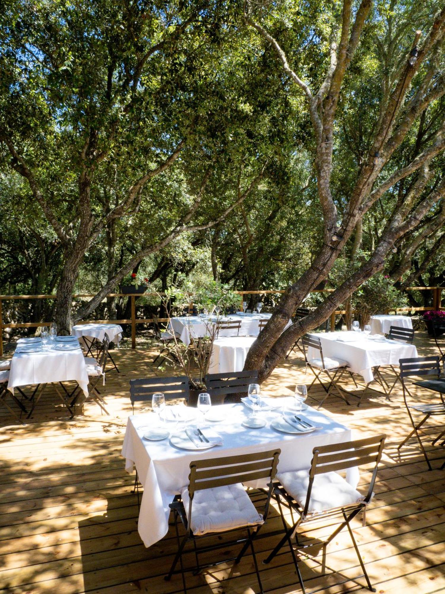 Agroturismo Santa Mariana アライオル エクステリア 写真