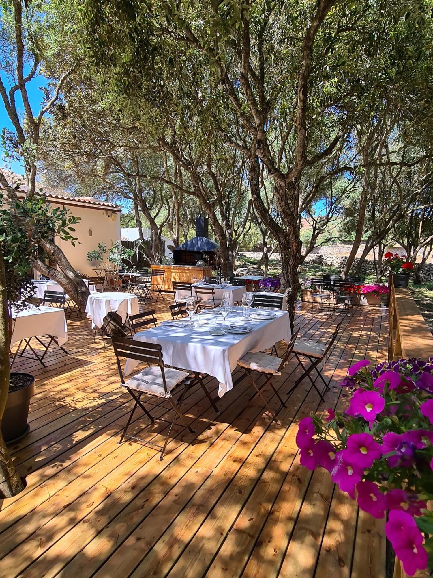Agroturismo Santa Mariana アライオル エクステリア 写真