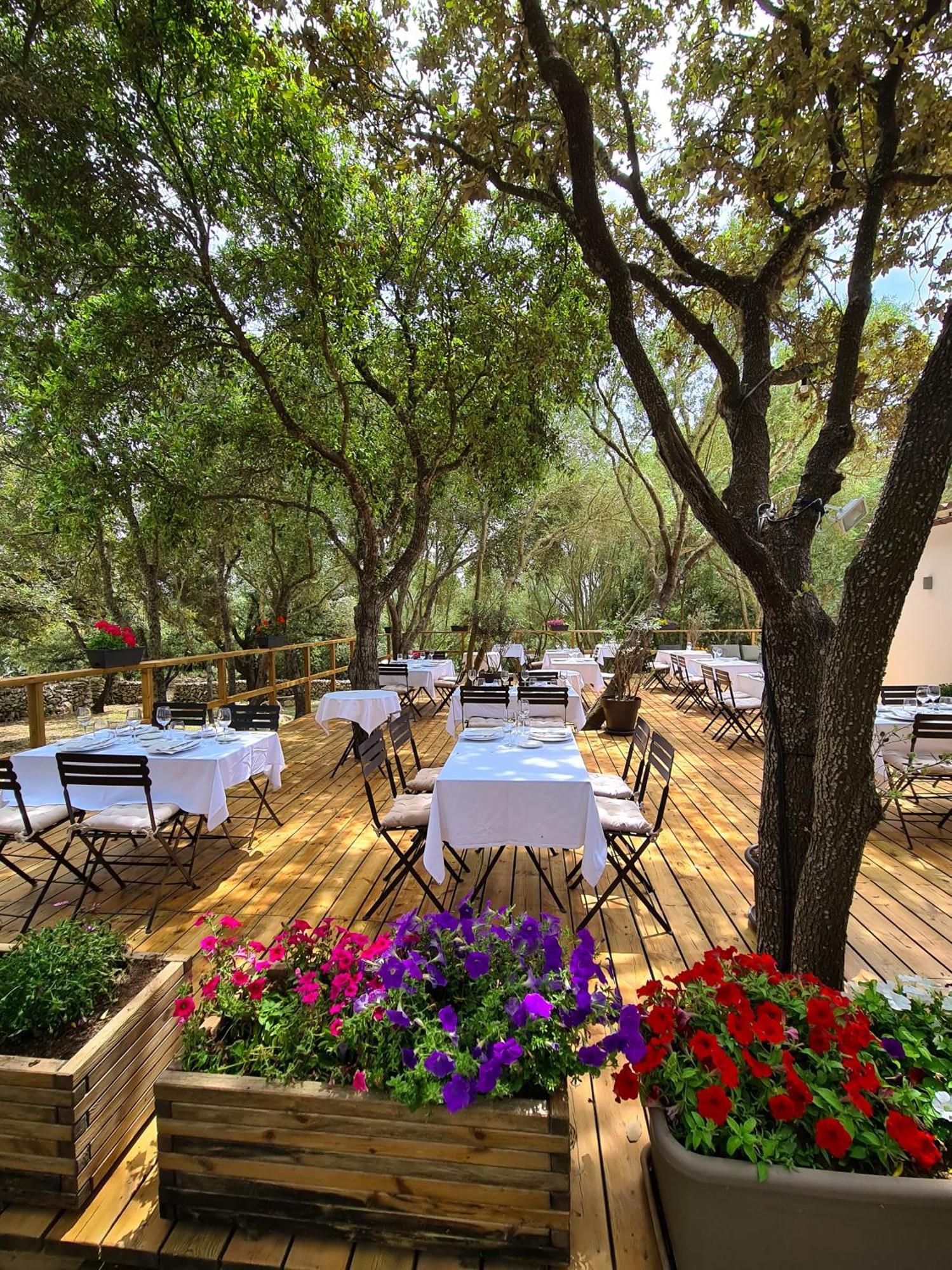 Agroturismo Santa Mariana アライオル エクステリア 写真
