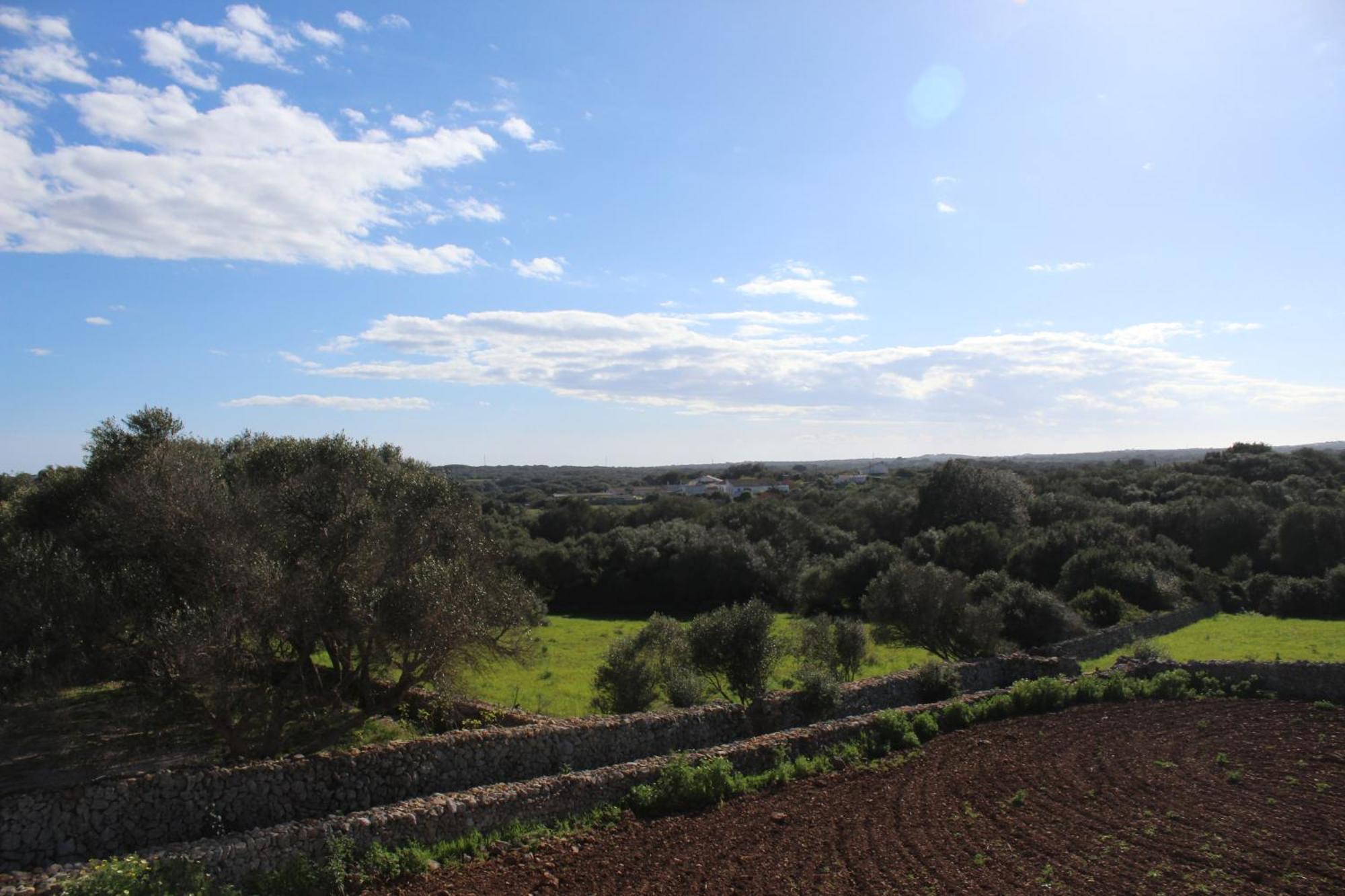 Agroturismo Santa Mariana アライオル エクステリア 写真