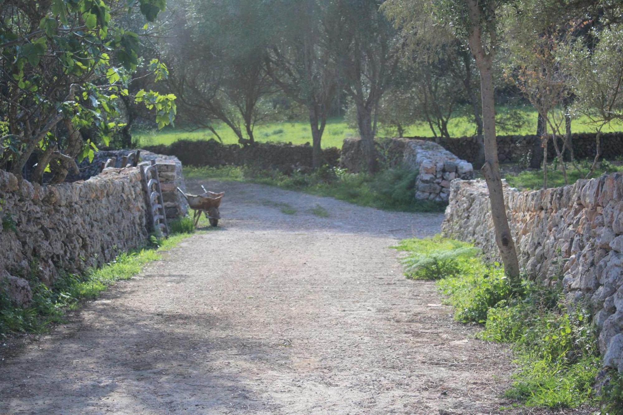 Agroturismo Santa Mariana アライオル エクステリア 写真