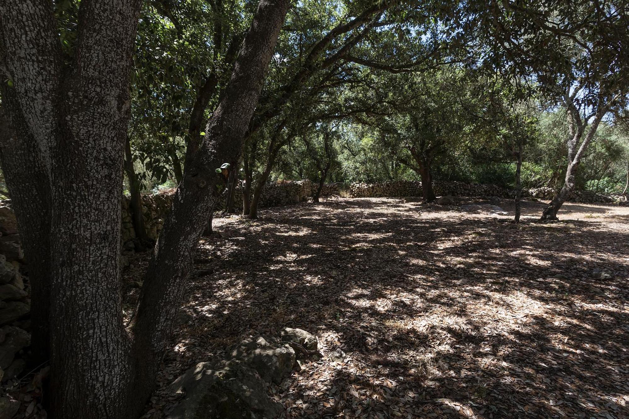 Agroturismo Santa Mariana アライオル エクステリア 写真